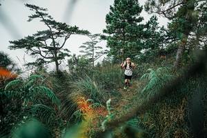 BIB: 
                            <button type="button" onclick="openModal(25258141)" class="btn btn-primary btn-sm float-right btn-popup" data-toggle="modal" data-target=".modal-high-quality">
                        <i class="fas fa-shopping-cart"></i> Add to Cart
                    </button>
                                            <button type="button" onclick="isThisMe(25258141, true)" class="btn btn-success btn-sm float-right btn-popup btn-isme hidden" data-toggle="tooltip" data-placement="bottom" title="นี่คือรูปของคุณใช่ไหม คลิกที่นี่เพื่อเอาเข้าอัลบั้ม">
                        <i class="fas fa-plus"></i> Add to album
                    </button>
                    <button type="button" onclick="isThisMe(25258141, false)" class="btn btn-warning btn-sm float-right btn-popup btn-isnotme hidden">
                        <i class="fas fa-ban"></i> Remove from album
                    </button>